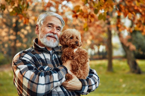 Recognizing common health issues in senior dogs