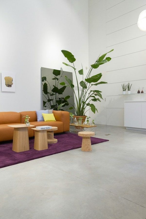 Biophilic design: incorporating nature into modern living