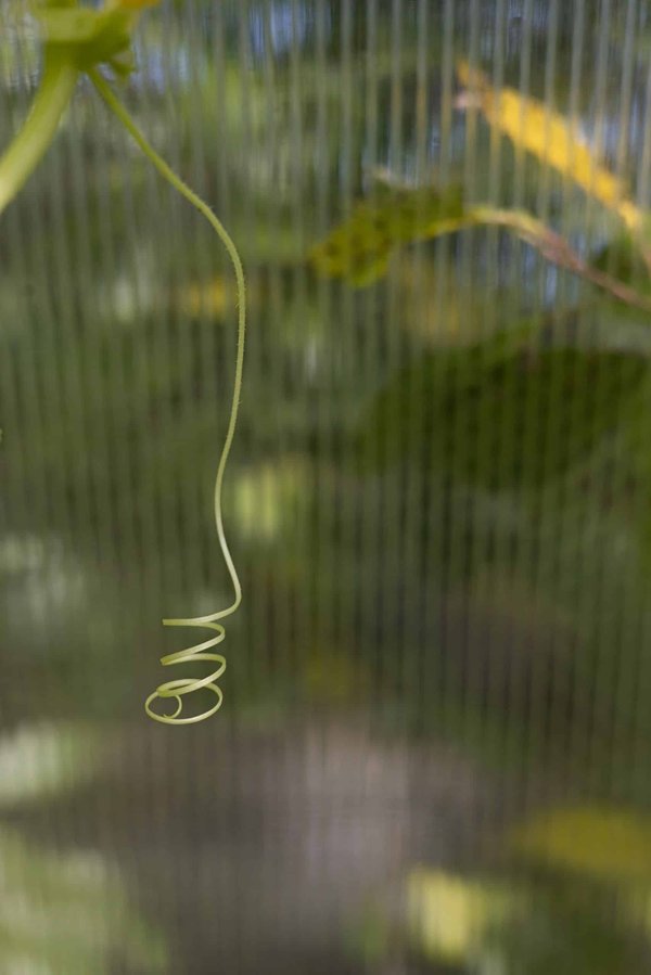 How Can You Adapt Modern Safety Features to Older Vehicles Without Altering Their Classic Appeal?